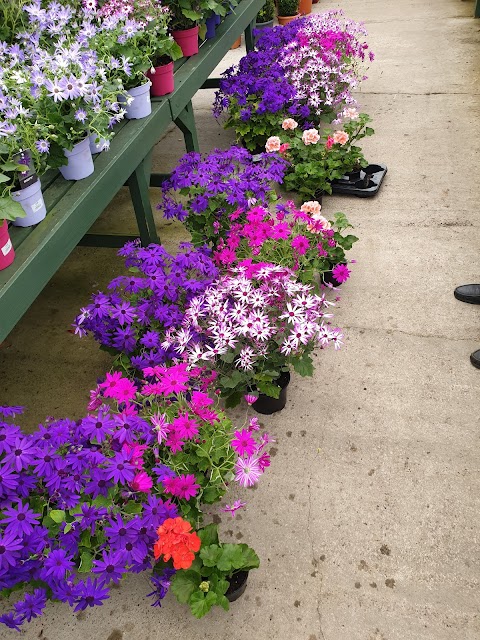 Ben Reid Nursery & Garden Centre