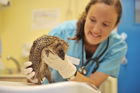 Shipley and Idle Veterinary Centres