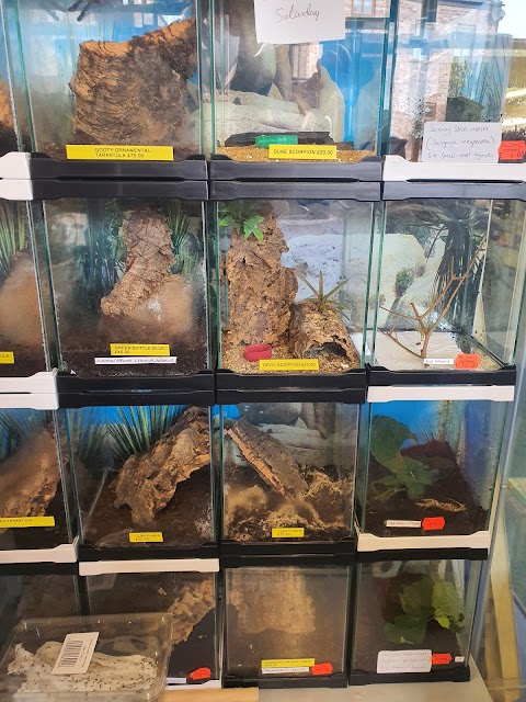 Timperley Aquatics Pet & Reptile Centre