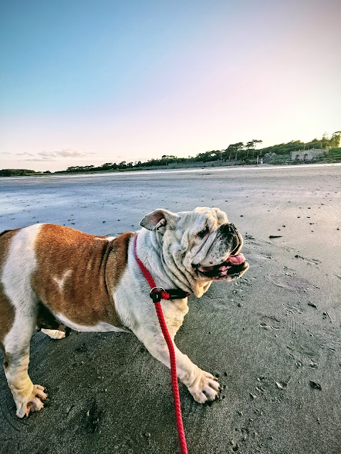 Ballywalter Beach & Park