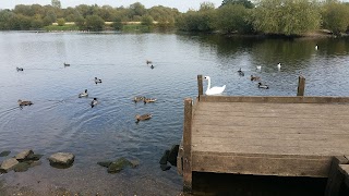 Tameside Local Nature Reserve