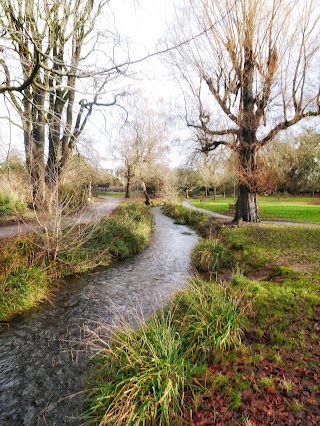 Roath Pleasure Gardens