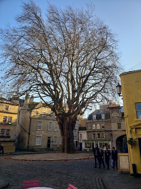 The Crystal Palace, Bath