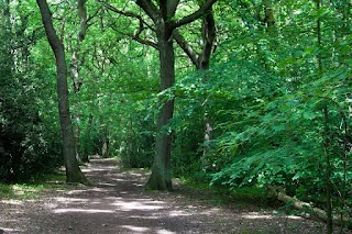 Walkies of Westerham