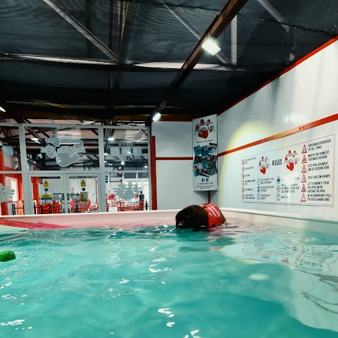 Red Rover Dog Daycare & Fun Pool