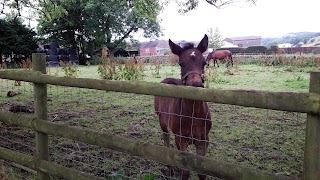 Middle Farm Bed & Breakfast