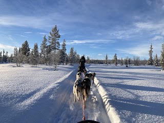 Unicorn Trails