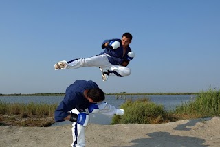 Yoseikan Budo UK