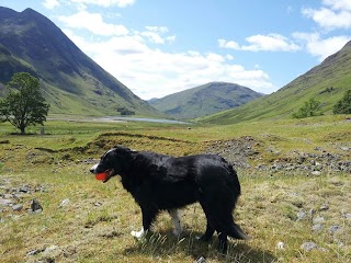 Abbey Veterinary Group, Greenock