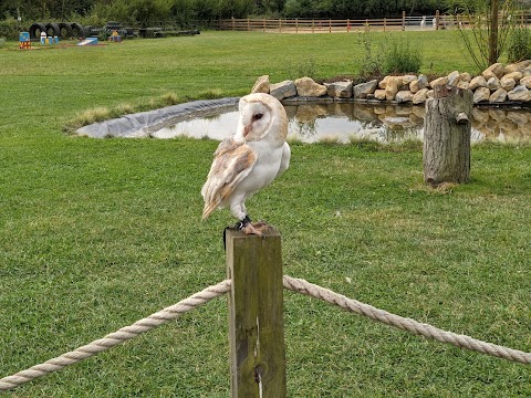 Herrings Green Activity Farm & Bird of Prey Centre