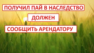 Киевская коллегия адвокатов Праволад