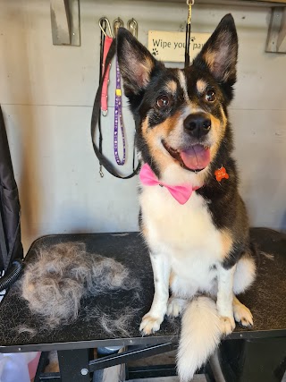 Mary Puppins Dog Grooming Parlour