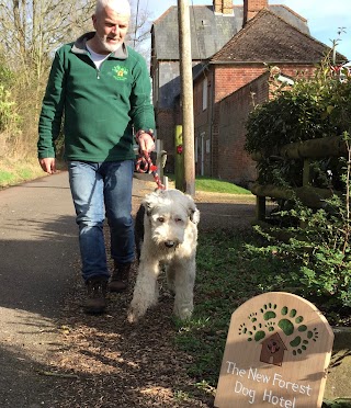 New Forest Dog Hotel