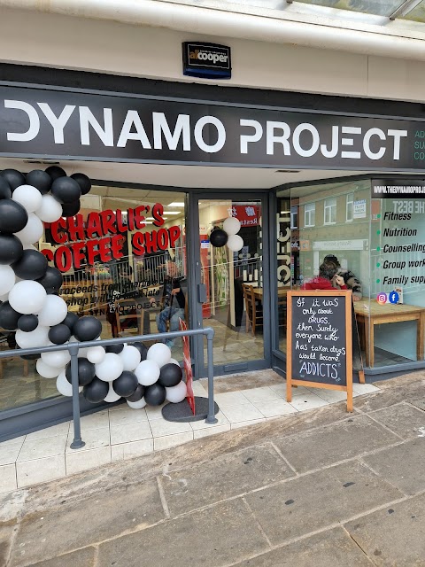 The Dynamo Project