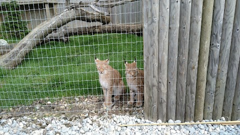 Woodside Wildlife Park