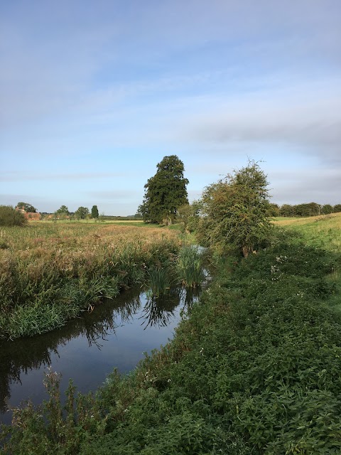 Cuckney Water Meadows
