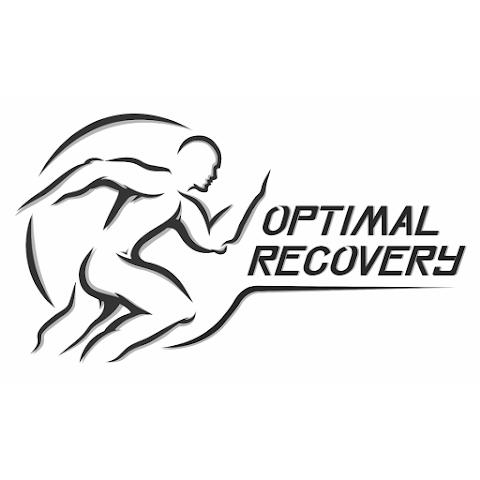 Optimal Recovery