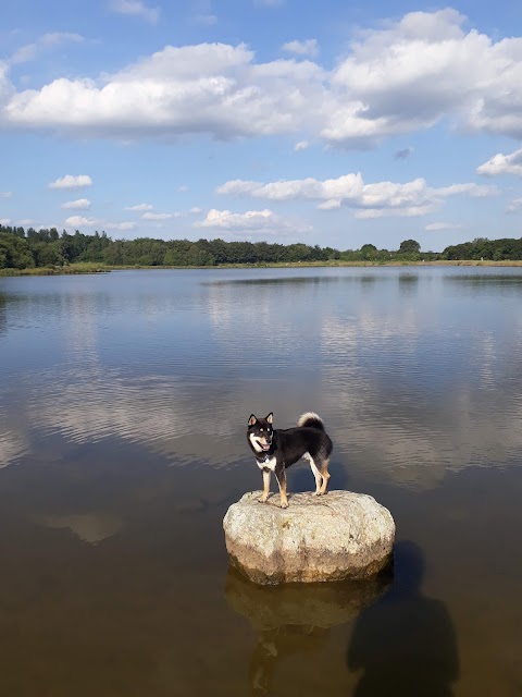 Pen-Y-fan Country Park