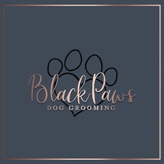 Black paws dog grooming and spa