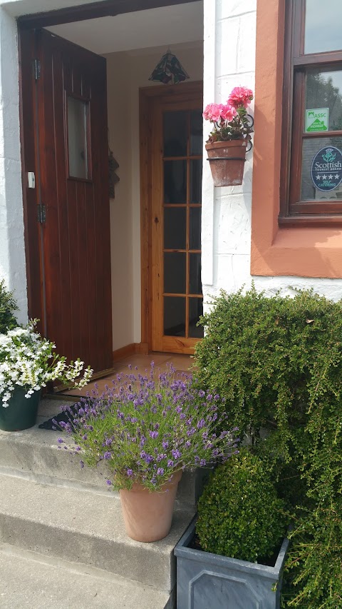 Old Rome Mews Cottages