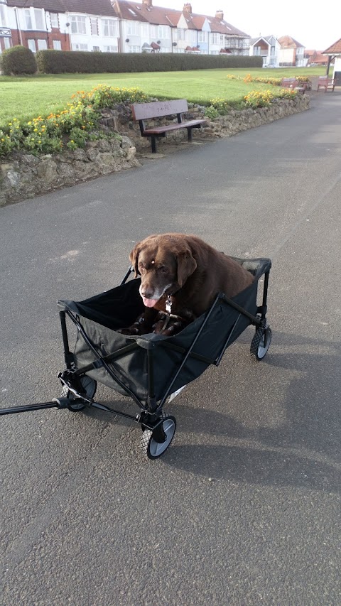 Thompsons Veterinary Surgery - Sutton-in-Ashfield