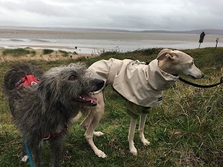 Hound Minded Sighthound Hotel