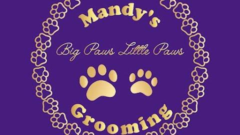 Mandys bigpaws little paws groomers