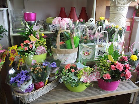 Sue Makin Flowers