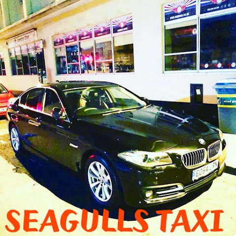 Brighton Seagull Taxis