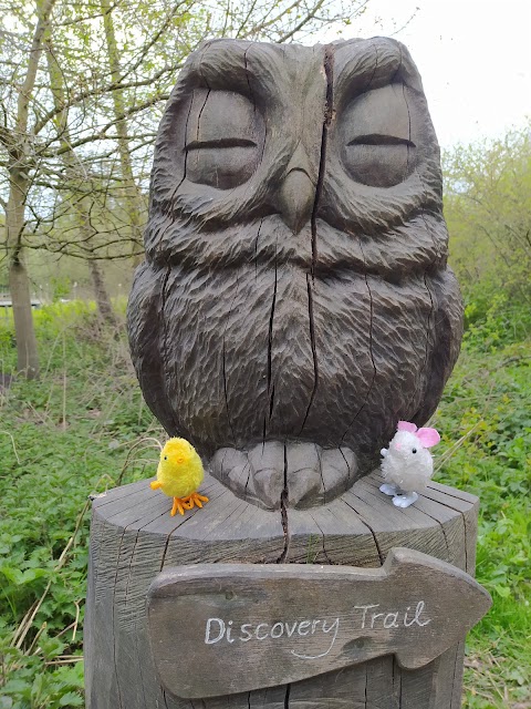 RSPB Fairburn Ings