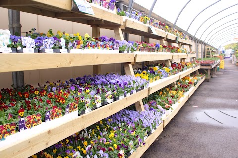 Hillier Garden Centre Bath