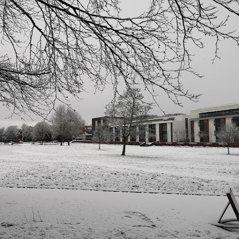 Stoke on Trent College