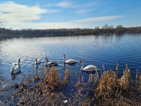 Drumpellier Country Park