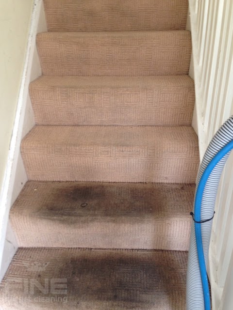 Fine Carpet Cleaning London