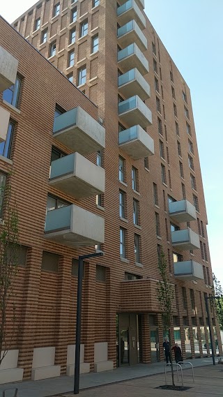 Woodlark Apartments