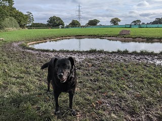 Off the Leash Dog Parks