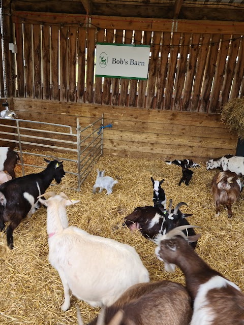 Bucklebury Farm & Deer Safari Park