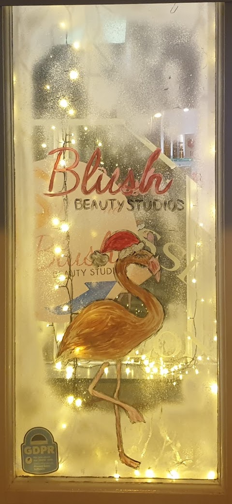 Blush Beauty Studios