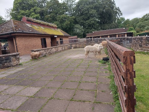 Tollcross Children's Farm