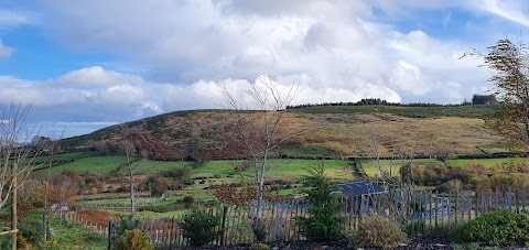 Tollymore Luxury Log Cabin