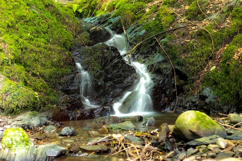 National Trust Lisnabreeny Cregagh Glen