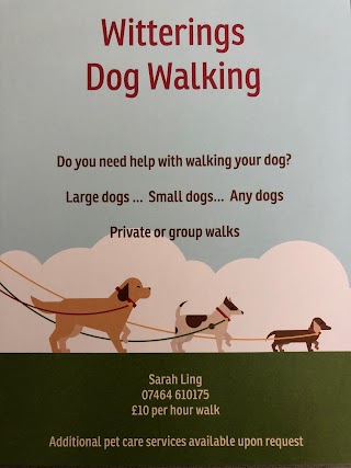 Witterings Dog Walking