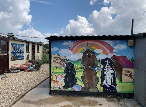 The Cottage Kennels and Cattery