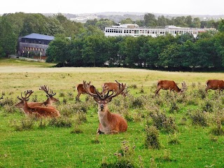 Red Deer Park