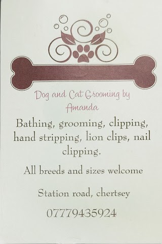 Dog & Cat Grooming By Amanda