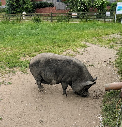 Stonebridge City Farm