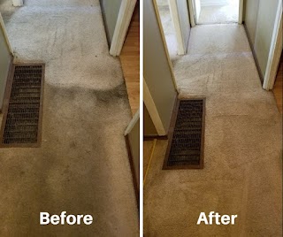 GoGo Clean- Carpet, upholstery & / House Cleaning