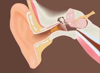 Woodley Ear Care