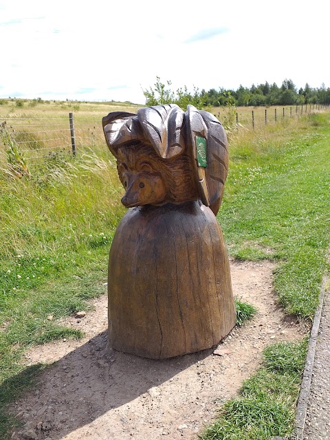 Gedling Country Park