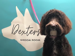 Dexter's Groom Room